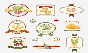9 organic vegetable label vector 9 organic vegetable label vector